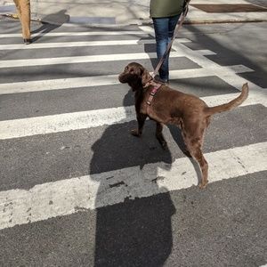 Meet your Posher, Danny